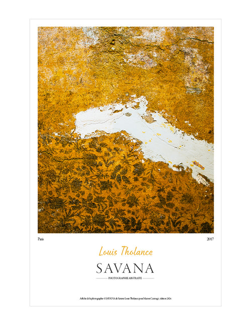 Savana Poster