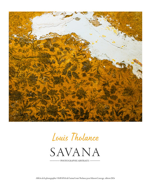 Savana Poster