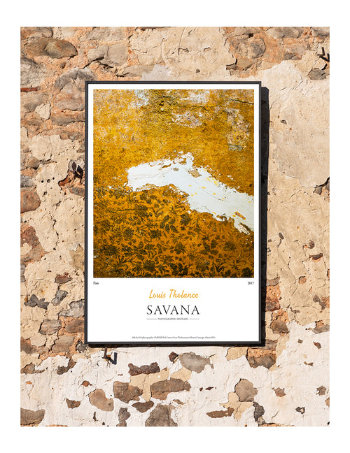 Savana Poster