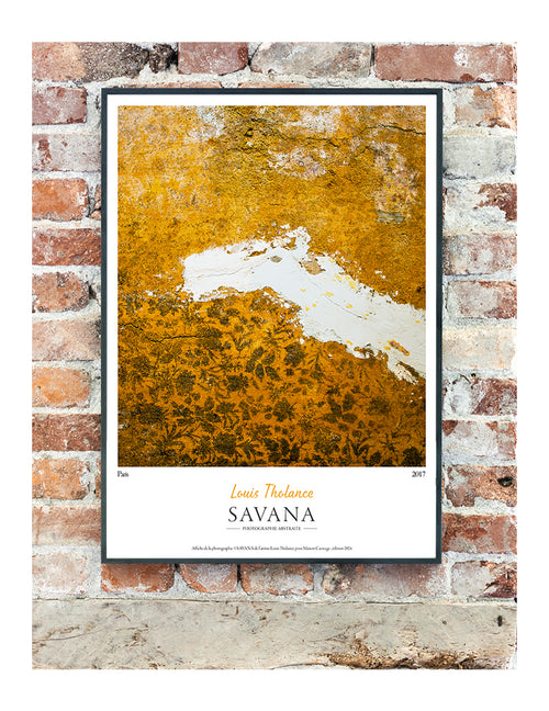 Savana Poster