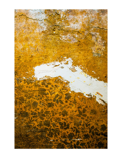 Savana Print
