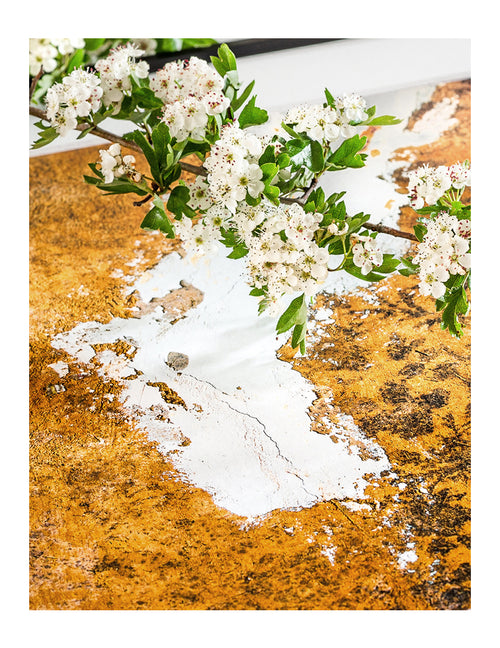 Savana Print