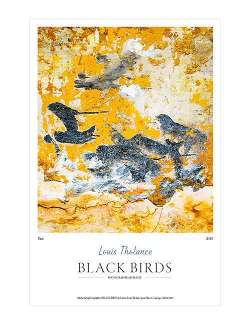 Black Birds Poster